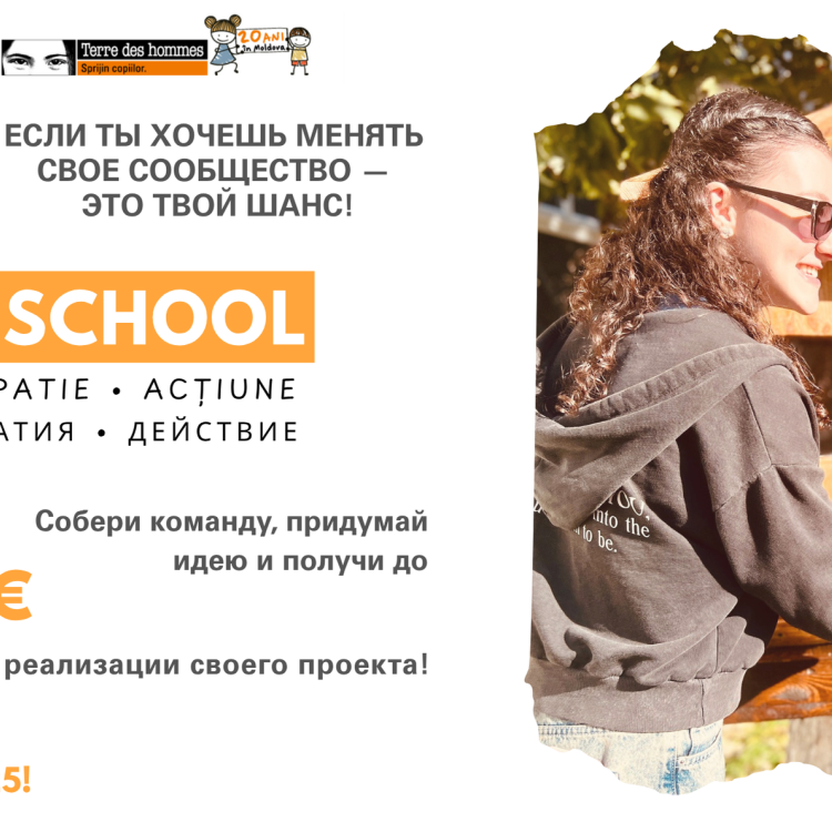 IDEA summer school