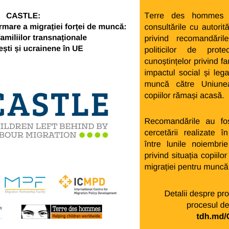 Consultari recomandari CASTLE