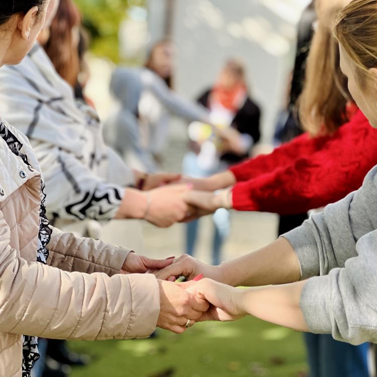 ToR incluziune socială